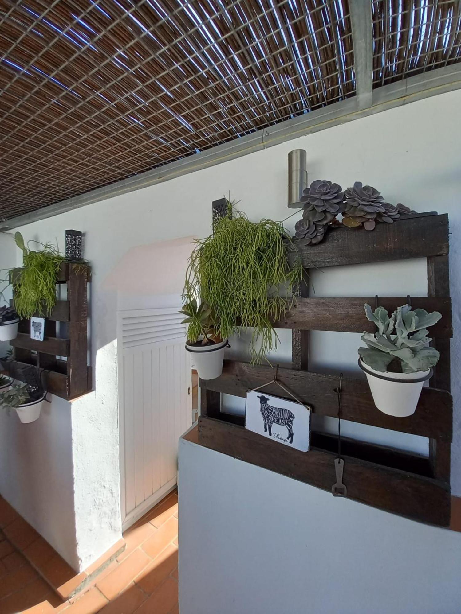 Casa El Molino Villa Conil De La Frontera Bagian luar foto